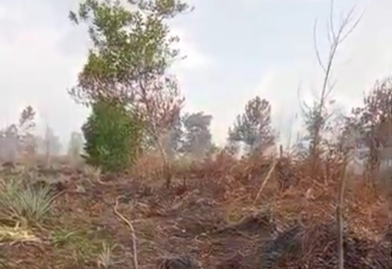 Desakan MLH Muhammadiyah Kalbar: Kerahkan Helikopter Water Bombing Kapasitas Besar